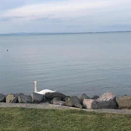 House For 6 Ppl At Balaton 펜션 시오포크