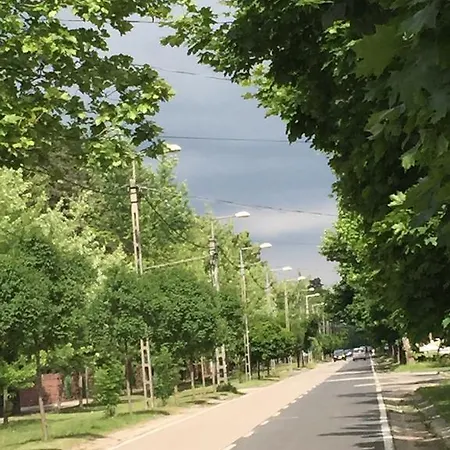 Dom wakacyjny House For 6 Ppl At Balaton Siófok