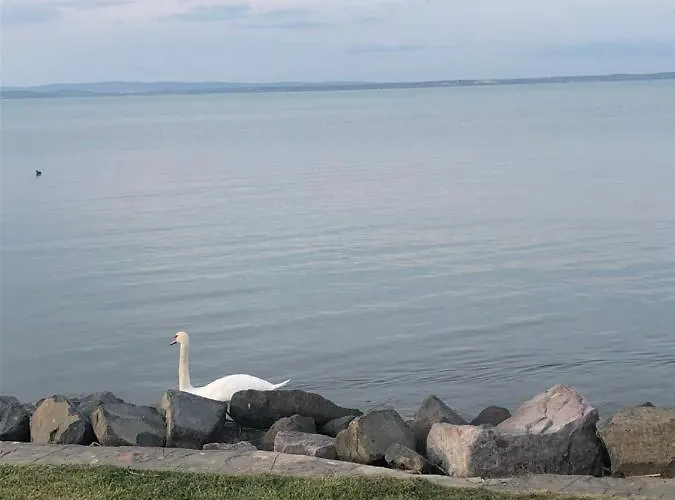 House For 6 Ppl At Balaton Prázdninový dům Siófok