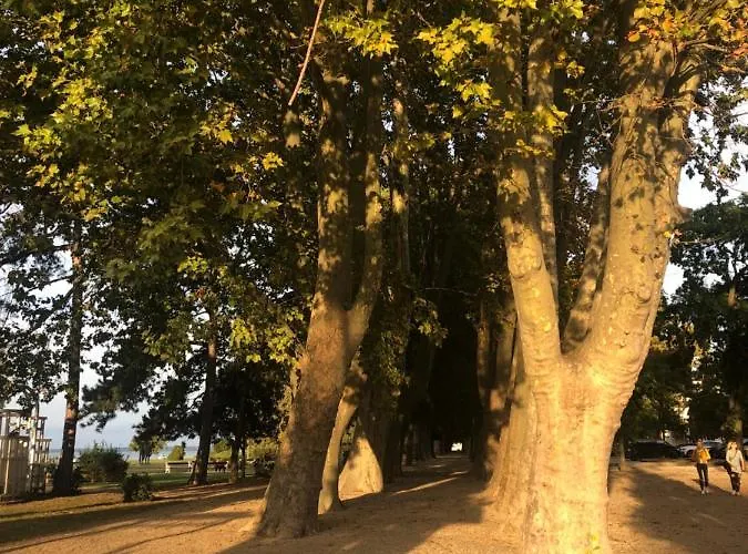 House For 6 Ppl At Balaton בית נופש